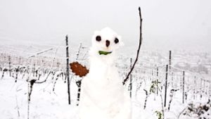 Endlich ist genug Material für einen Schneemann vorhanden. Foto: Andreas Rosar