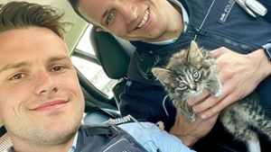 Die Polizisten übergaben die Katze dem Tierschutzverein Achern. Foto: Polizei/Achern