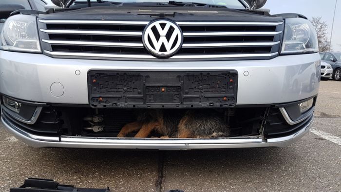 VW erfasst Hund – Tier fährt unter Kühlergrill mit