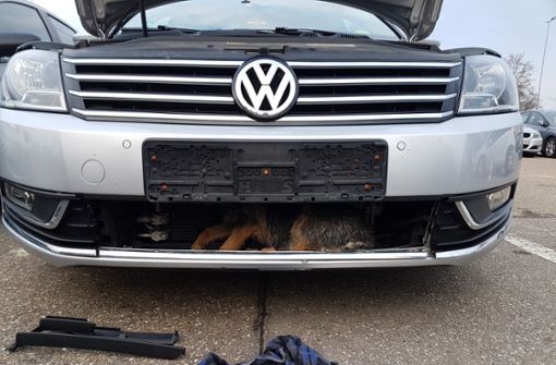 Ein nicht gerade alltäglicher Anblick: Ein Hund unter dem Kühlergrill des VW. Foto: Polizeipräsidium Aalen