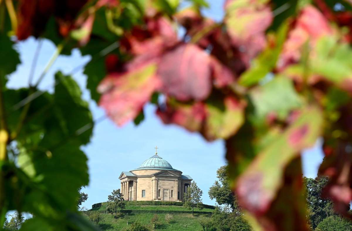 Viel Wein wächst in Stuttgart rund um die Grabkapelle bei Rotenberg. Foto: dpa/Bernd Weißbrod