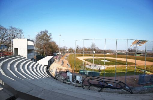 Das neue Stadion der Stuttgart Reds auf dem Schnarrenberg wächst und gedeiht. Foto: Lichtgut/Leif Piechowski