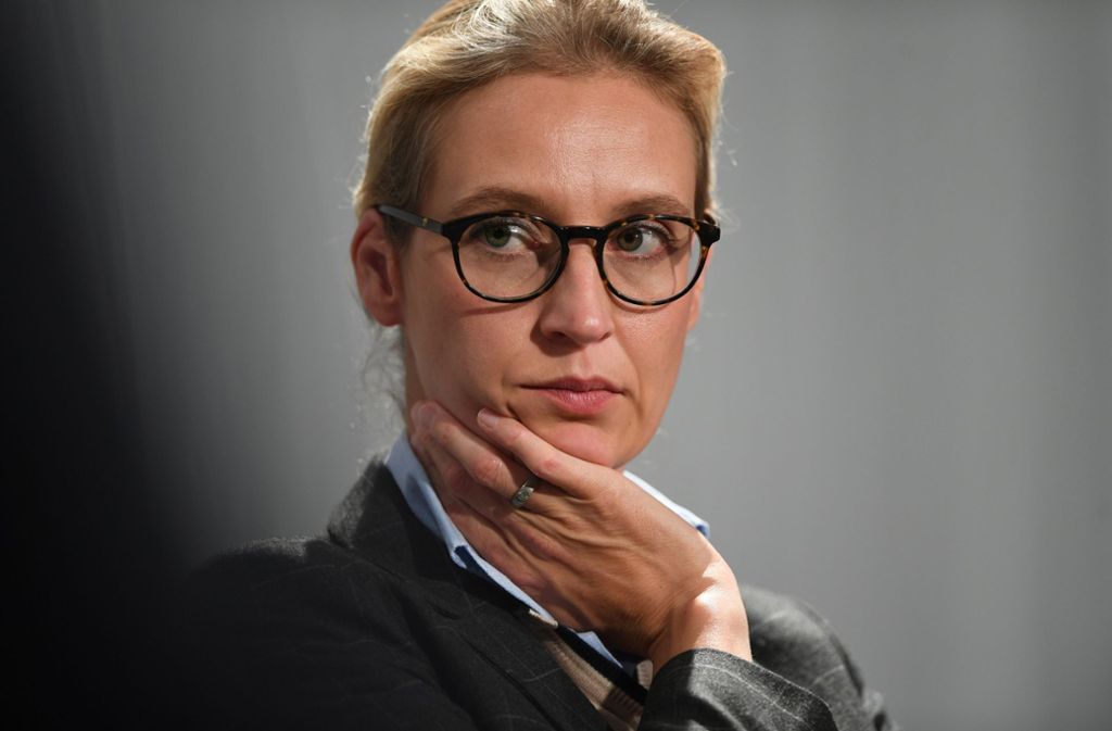 Die Schweizer Spende war mit dem Verwendungszweck „Wahlkampfspende Alice Weidel“ deklariert. Foto: dpa
