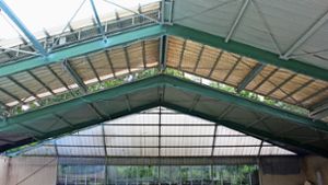 Der Cannstatter Tennisclub erneuert derzeit das Dach seiner  Halle. Foto: Nele Günther