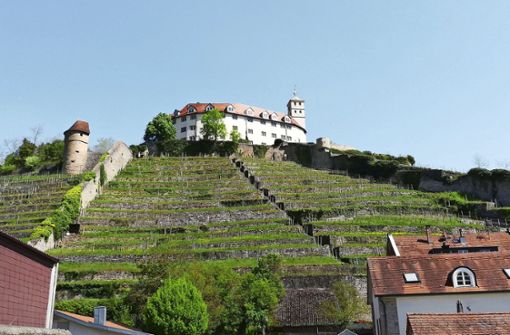 Schloss Kaltenstein thront hoch über der Kernstadt von Vaihingen/Enz auf einem 271 Meter hohen Muschelkalkfelsen. Erwähnt wurde es  erstmals im Jahr 1096. Foto: StZN