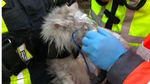 Da der Verdacht auf eine Rauchvergiftung bestand, wurde das Tier beatmet und dann mit „Sonderrechten“ zum Tierarzt gebracht. Foto: dpa