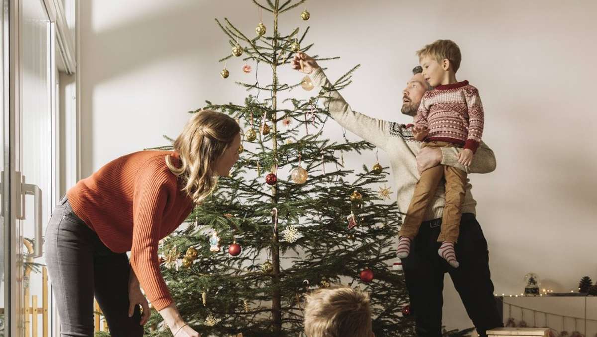 Weihnachtsbaum mit gutem Gewissen: Diese Alternativen gibt es