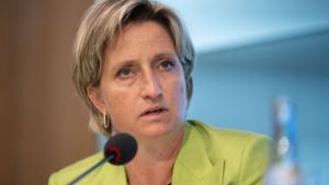 Wirtschaftministerium lehnt  Kritik an Mercedes-Strategie ab