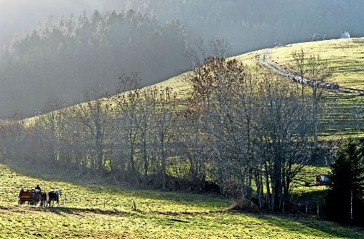 Milde, schneelose Winter, wie hier im Schwarzwald bei Hinterzarten, und zunehmend heiße Sommer – das bringt der Klimawandel in Deutschland mit sich. Foto: dpa