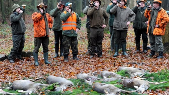Entwurf für Jagdgesetz treibt Jäger auf die Barrikaden