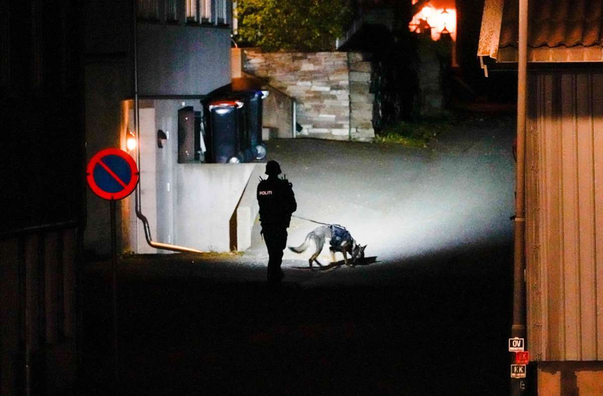 In Norwegen hat ein mit Pfeil und Bogen bewaffneter Angreifer mehrere Menschen getötet.
