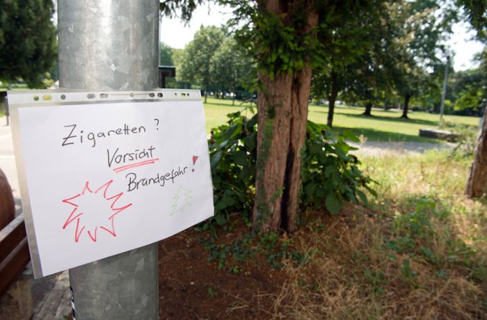 Waldbrände in Baden-Württemberg: Warum die Feuer-Gefahr gerade jetzt besonders hoch ist