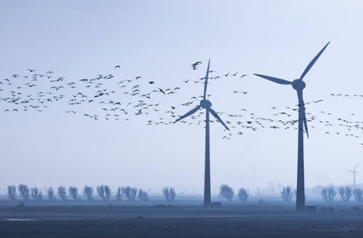 Windräder können Vögeln gefährlich werden, die die Rotoren nicht gleich erkennen. Doch ist Energieerzeugung ganz ohne Tierleid möglich? Foto: Imago//Jochen Tack