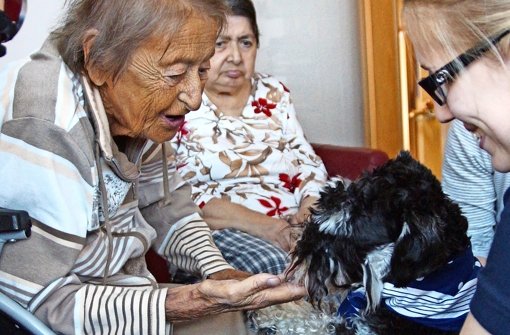 Die Arbeit mit Senioren als Besuchshund liegt Maxi besonders. Foto: Waltraud Daniela Engel