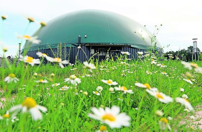 Heizen mit Biogas und Wasserstoff: Technologieoffenheit hat Grenzen