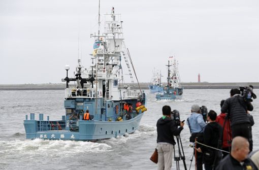 Während die Schiffe den Hafen der Walfangstadt Kushiro verließen, feierten Walfänger, ihre Familien und Vertreter der Städte. Foto: dpa