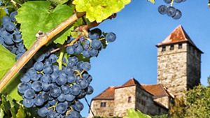 Auch an den Hängen unterhalb von Schloss Lichtenberg reifen die Trauben. Die Weingärtner erwarten einen guten Rotwein. Foto: Ralf Poller/Avanti