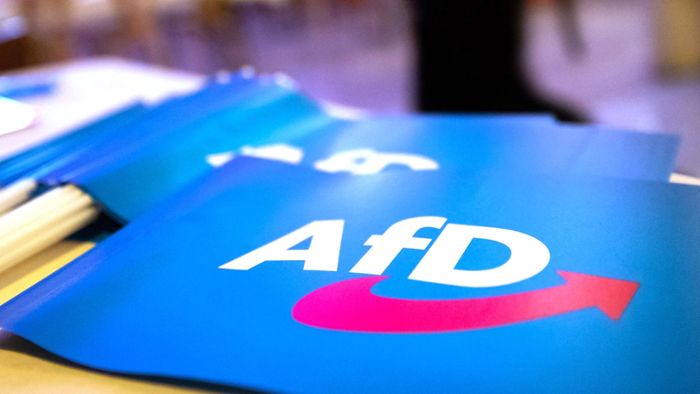 Bericht über AfD-Sponsor: Erfolg für 