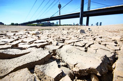 Trockenheit am Ufer des Rheins in Düsseldorf im Sommer 2018. Vermehrte Dürren beschäftigen derzeit die Weltklimakonferenz in Madrid. (Archivbild) Foto: dpa/Martin Gerten