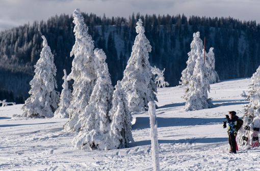 Eine Skifahrerin steht vor verschneiten und vereisten Bäumen. Auf dem Feldberg im Schwarzwald haben die ersten Lifte geöffnet (Archivbild). Foto: dpa