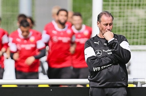 Auf Abstand? VfB-Trainer Huub Stevens und sein Team Foto: Baumann