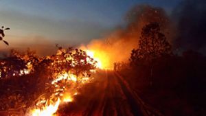 Seit Tagen wüten riesige  Waldbrände in Brasilien. Foto: dpa