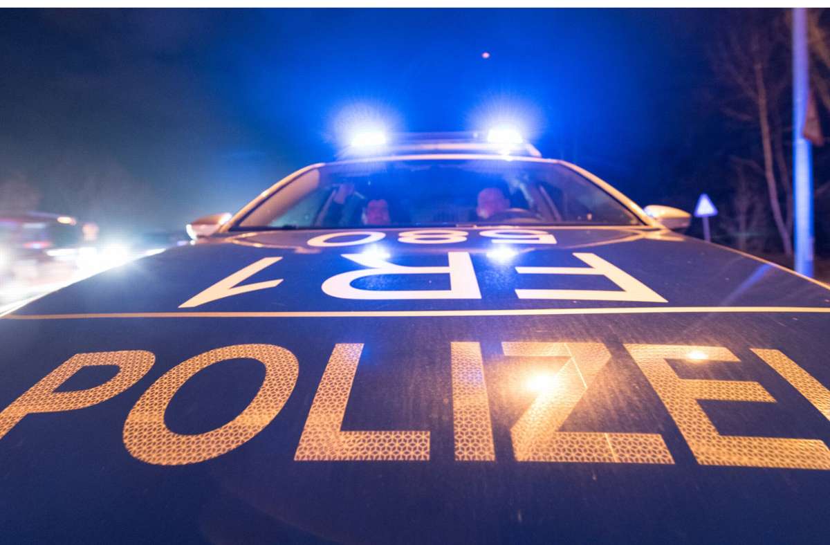 Die Polizei beschlagnahmte bei Hausdurchsuchungen Rauschgift, Bargeld und ein teures Auto. (Symbolbild) Foto: dpa/Patrick Seeger