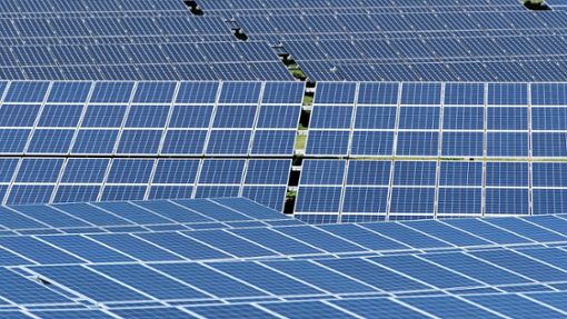 Die Solarenergie ist die am schnellsten wachsende erneuerbare Energiequelle in der EU. Allerdings kommt der Großteil der in Europa nachgefragten Solarmodule aus China. Foto: Sven Hoppe/dpa
