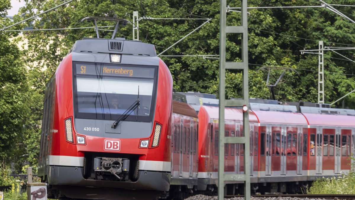 S-Bahn in Böblingen: Hund beißt Dreijährige ins Gesicht