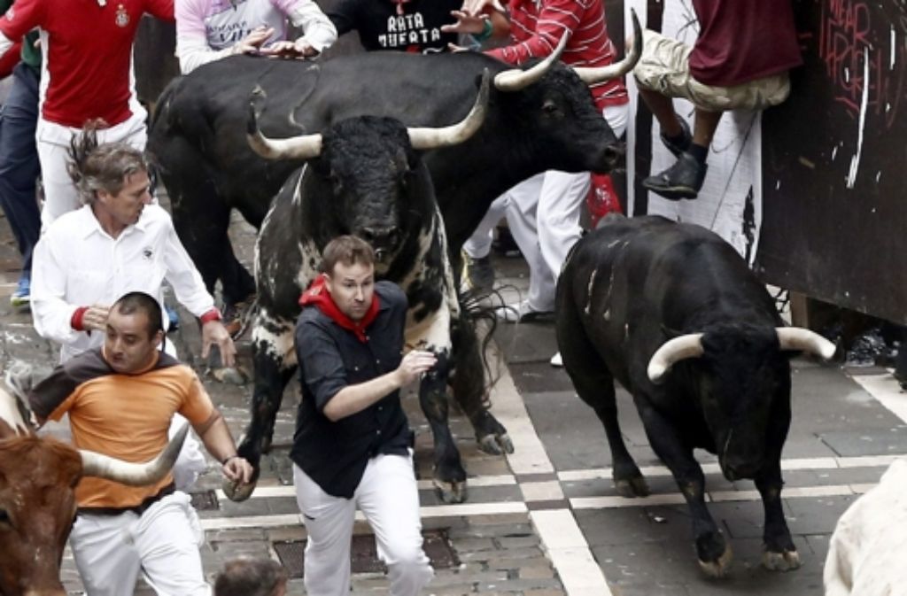 Jedes Jahr versammeln sich in Pamplona hunderttausende Zuschauer zur traditionellen Stierhatz. Jedes Jahr gibt es Verletzte und Proteste von Seiten der Tierschützer.