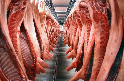 Schweinehälften im Kühlraum eines Fleischverarbeitungsbetriebs (Symbolbild). Foto: dpa-Zentralbild