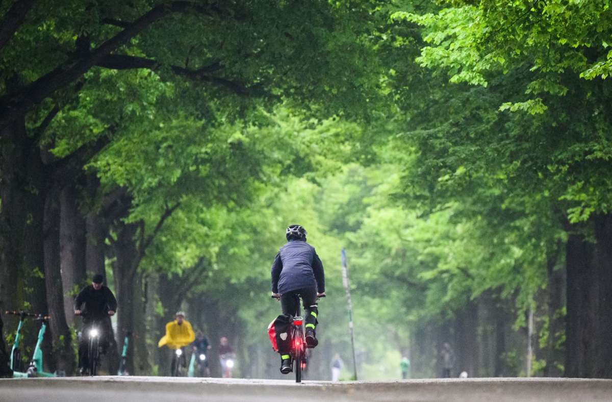 Fahrradfahrer sind bei Regen auf einer Allee am Maschsee in Hannover unterwegs. Foto: dpa/Julian Stratenschulte
