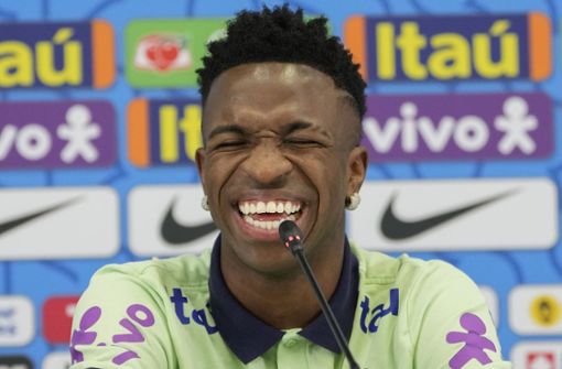 Brasiliens Stürmer Vinicius Junior konnte bei der Pressekonferenz wegen des ungebetenen Gasts  fast nicht mehr aufhören zu lachen. Foto: dpa/Andre Penner