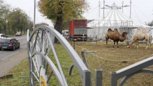 Der Circus Althoff in Ludwigsburg hat eine Debatte über Tierschutz ausgelöst. Foto: factum/Granville