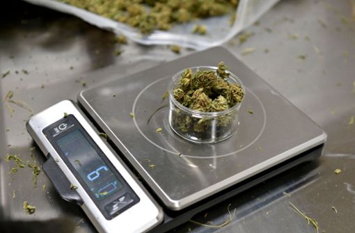 Künftig soll der Besitz von Cannabis bis zu zehn Gramm nicht bestraft werden – bisher waren es nur sechs Gramm. Foto: AFP/ANGELA WEISS