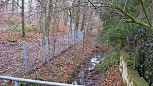 Der Zaun auf dem Privatgrundstück, das sich in einem Landschaftsschutzgebiet befindet, verhindert Naturschützern zufolge, dass Wildtiere an die Wasserquelle gelangen. Foto: privat