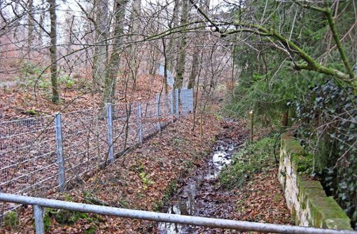 Der Zaun auf dem Privatgrundstück, das sich in einem Landschaftsschutzgebiet befindet, verhindert Naturschützern zufolge, dass Wildtiere an die Wasserquelle gelangen. Foto: privat