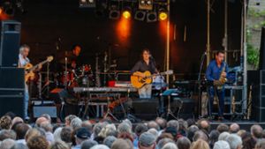 Pippo Polina spielt mit seiner Band beim Europäischen Kultursommer in Fellbach. Foto: Nicklas Santelli