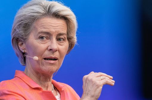 EU-Kommissionspräsidentin Ursula von der Leyen will die Preise für russisches Gas deckeln. (Symbolbild) Foto: IMAGO/Political-Moments/TOBIAS SCHWARZ