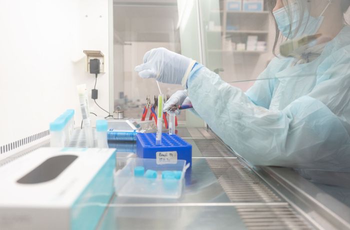 Nachfrage nach  PCR-Tests: Testlabore befürchten  Überlastungen wegen der Omikron-Welle