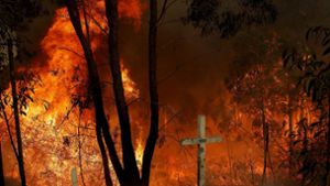 Ein Buschfeuer brennt am Pacific Highway bei Taree, 350 Kilometer nördlich von Sydney. Foto: dpa/Darren Pateman