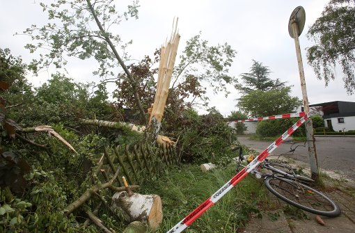 Ein Tornado sorgte im Hamburger Stadtteil Farmsen am Dienstagabend für abgeknickte Bäume und abgedeckte Dächer. Foto: dpa