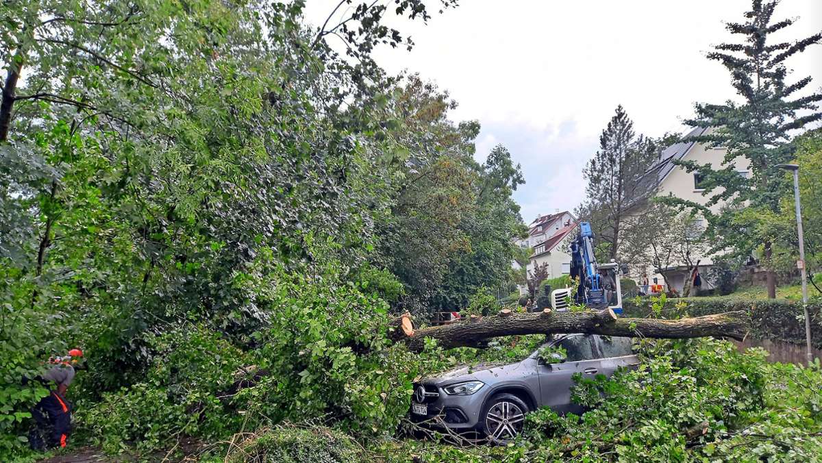 Unwetter im Kreis Ludwigsburg: Vaihingen und Steinheim hat der Sturm am schlimmsten getroffen