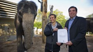 Große Maschinen, große Tiere: Patenschaft für Elefanten
