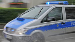 In Bietigheim-Bissingen ist ein Kleinkind unter ein Auto geraten. Foto: dpa