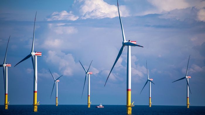 Länder einigen sich auf Naturschutz-Standards für die Windkraft