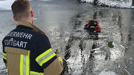 Ein Hund geriet im Stuttgarter Riedsee in eine Notlage – die Feuerwehr rettete den Vierbeiner. Foto: Feuerwehr /Stuttgart