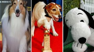Das sind die zehn besten Film-Hunde