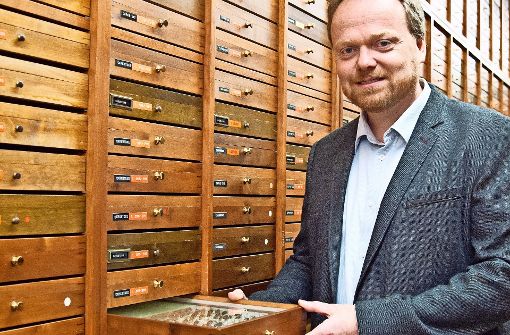 In den Schubladen sind Insekten: Lars Krogmann im Naturkundemuseum. Foto: Lg/Oliver Willikonsky