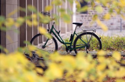 Wieso nicht mal ein Herbstausflug mit dem Fahrrad? Foto: dpa/Matthias Bein
